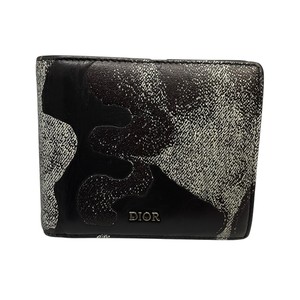DIOR×peter doig